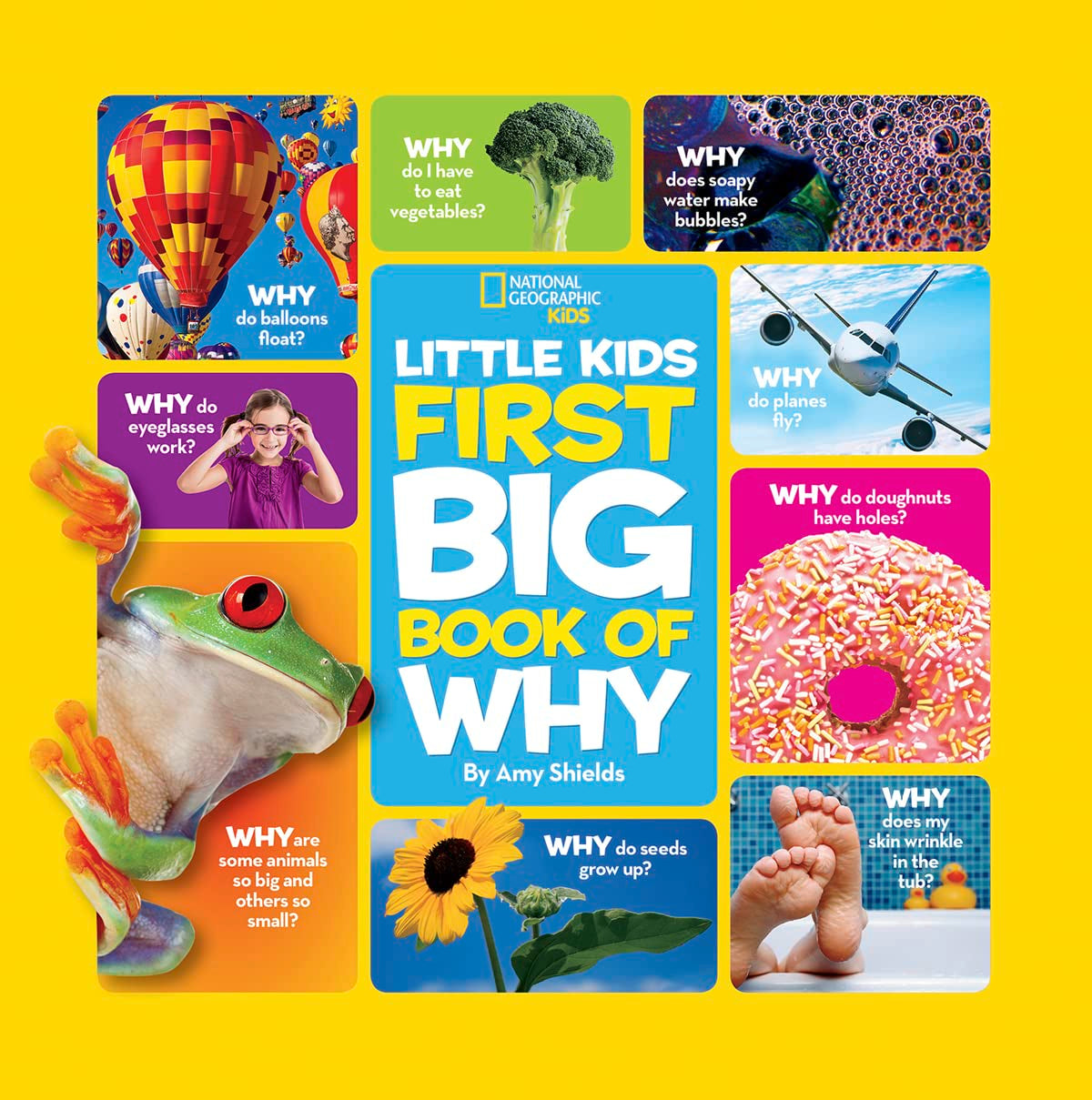 National Geographic Kids: First Big Book of Why (Ages 3–8)