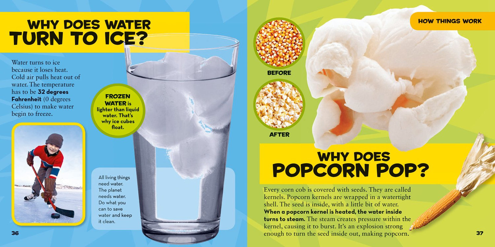 National Geographic Kids: First Big Book of Why (Ages 3–8)
