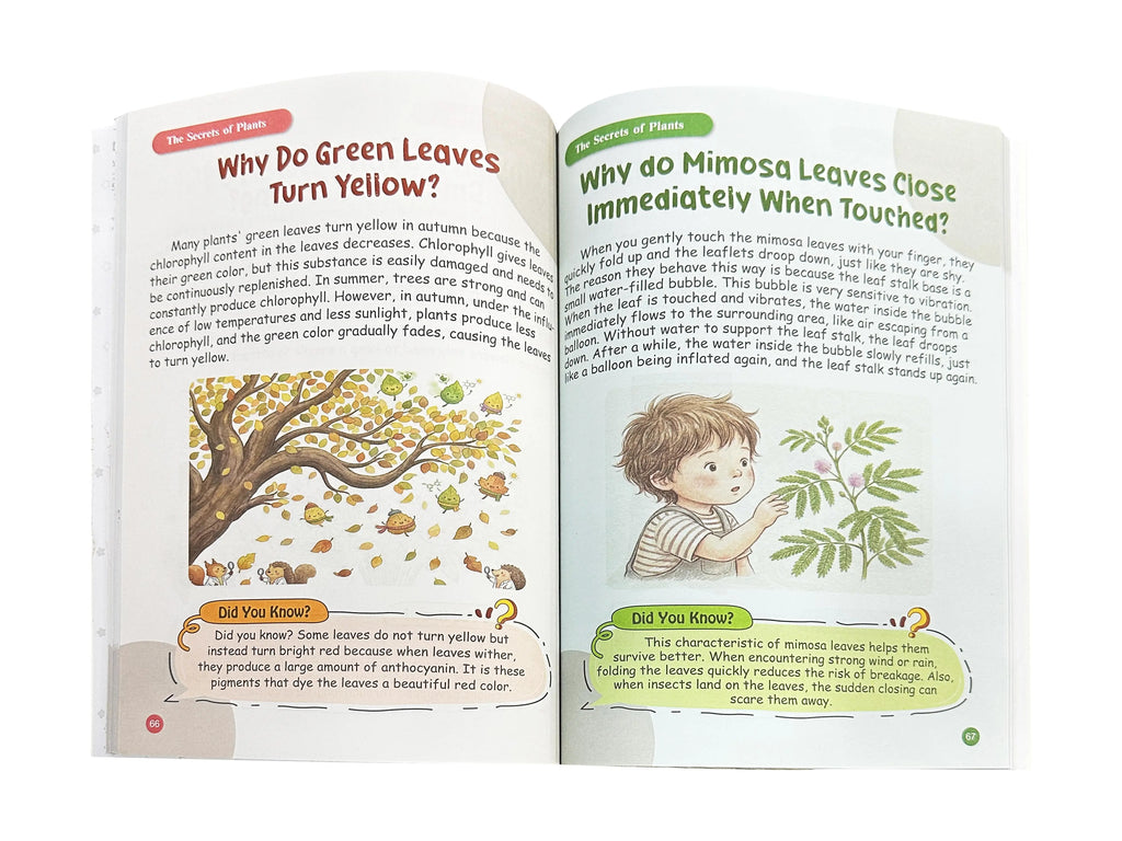 Real inside spread — Why do green leaves turn yellow? from The Secrets of Plants chapter