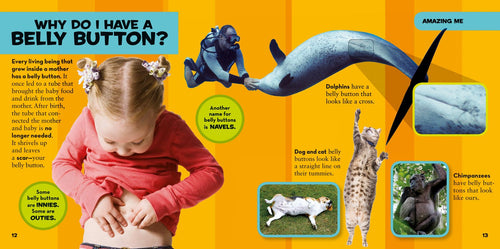 National Geographic Kids: First Big Book of Why (Ages 3–8)