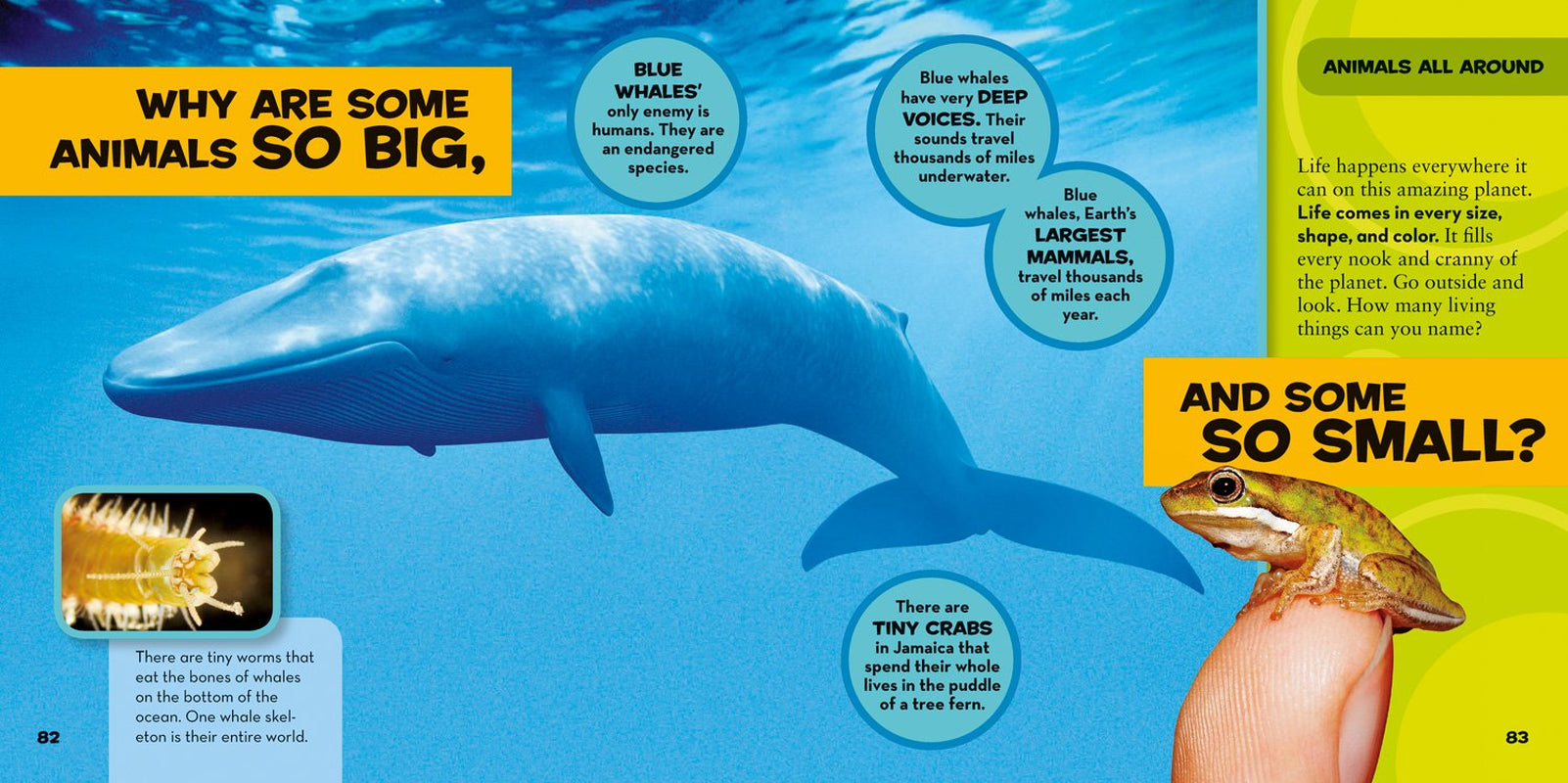 National Geographic Kids: First Big Book of Why (Ages 3–8)